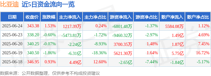 股票行情快报：比亚迪（002594）6月24日主力资金净买入1217.39万元