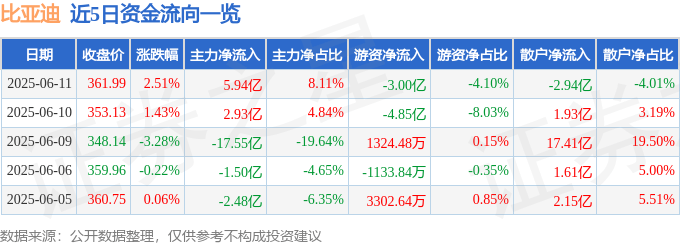 股票行情快报：比亚迪（002594）6月11日主力资金净买入5.94亿元
