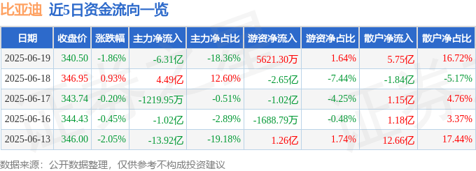 股票行情快报：比亚迪（002594）6月19日主力资金净卖出6.31亿元