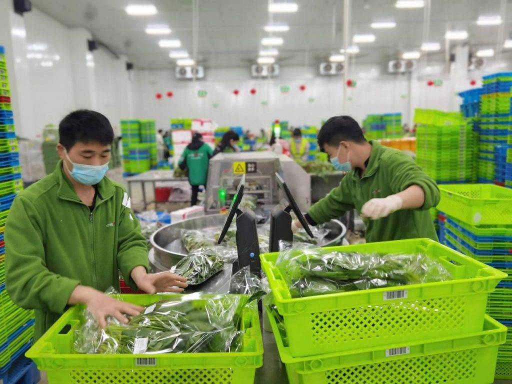 校园食材采购系统如何选？